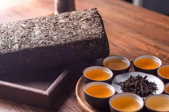 黑茶适合什么季节喝