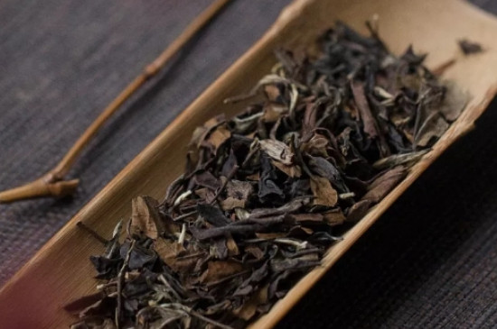 普洱白茶屬於什麼茶