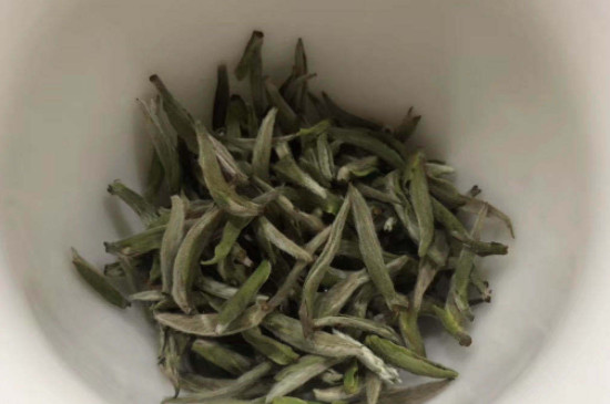 福建白茶屬於什麼茶