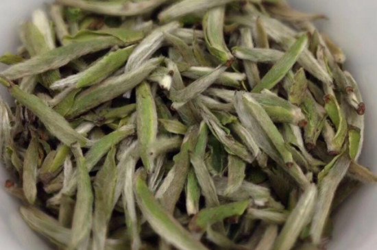 白茶屬於哪一類