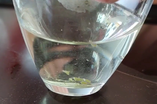 白茶的好處