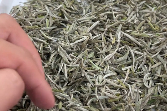 喝白茶有什麼好處