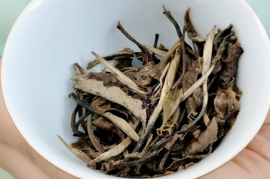 月光白屬於白茶還是普洱茶