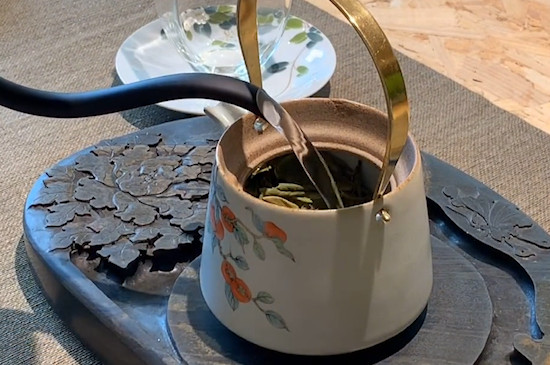 老白茶怎么泡才好喝