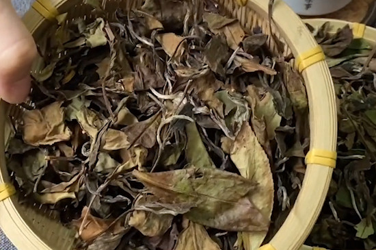 喝白茶有什麼好處和壞處