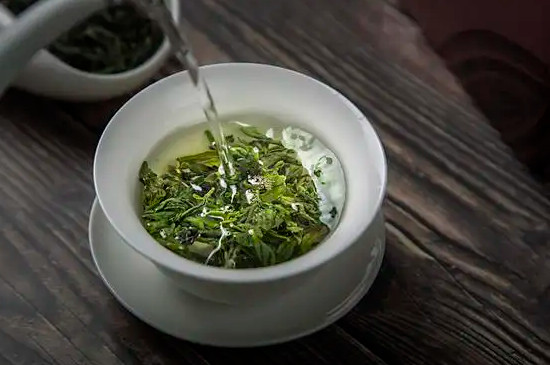 乌龙早茶是什么茶