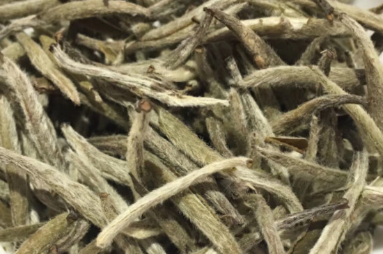 廣西白茶是什麼茶