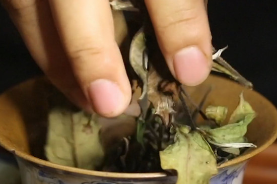月光白茶是什麼茶