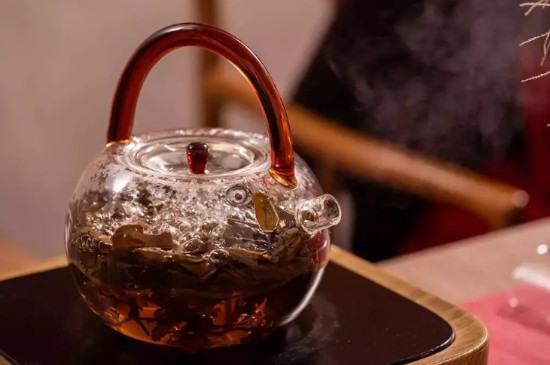 福鼎老白茶為什麼需要煮著喝