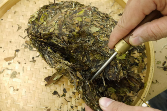 白茶饼和白茶区别