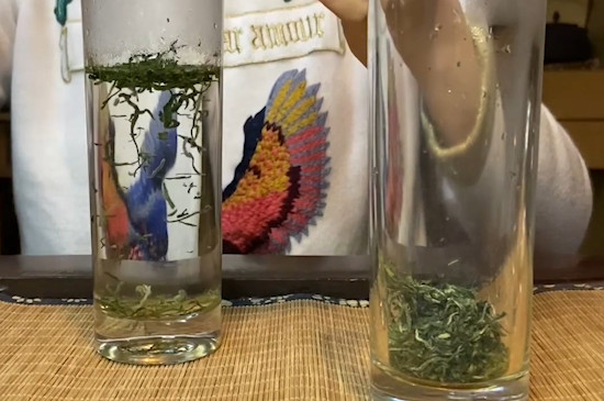 好茶的口感是什麼樣的