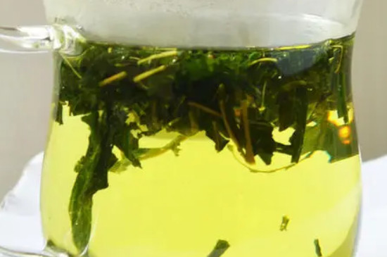 桑叶茶的禁忌