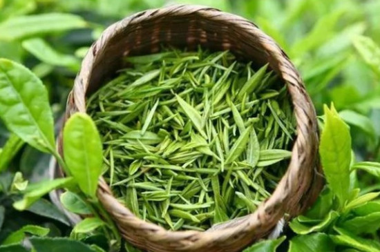湄潭翠芽保质期多久