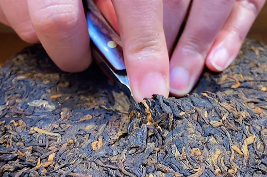 云南大叶种乔木茶属于什么茶