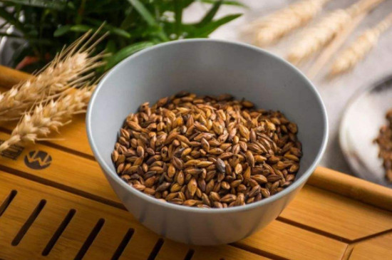 大麦茶是茶吗
