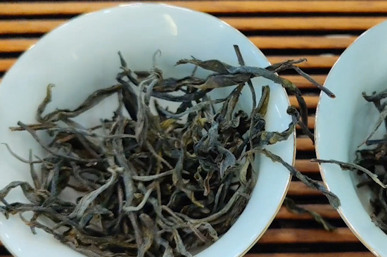 什么叫大树茶