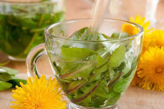 蒲公英茶一次泡多少克