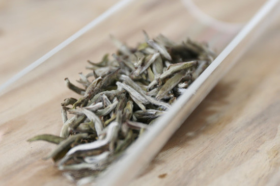 福鼎大白茶是什么茶种 福鼎大白毫茶是什么茶