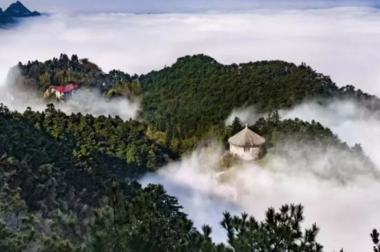 廬山雲霧背後的曇花指的是