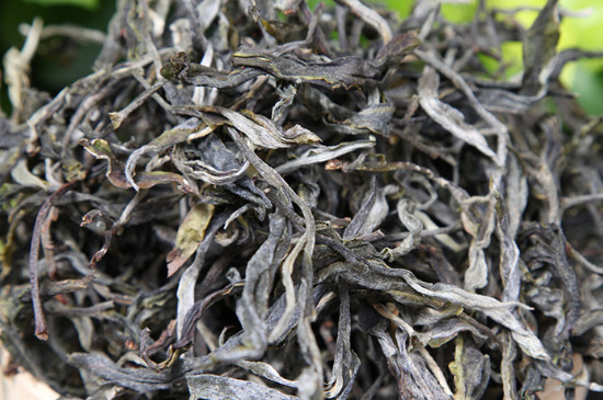明前古樹茶是什麼茶