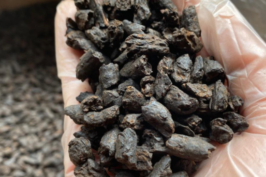 普洱茶中的碎银子是什么品种