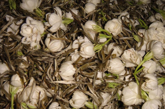 茉莉花茶有花好还是没花好，茉莉花茶没有花的好