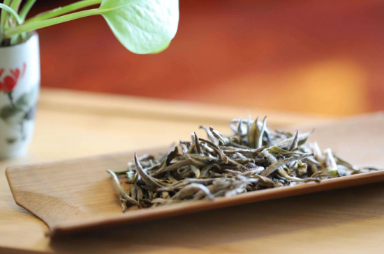 福鼎白茶和政和白茶哪個好