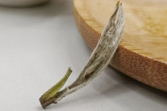 白毫银针用什么冲泡