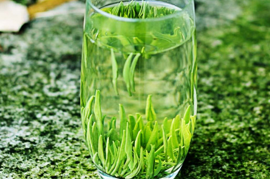三峡芽毛尖属于什么茶