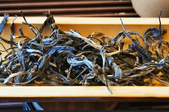 古树茶属于什么茶