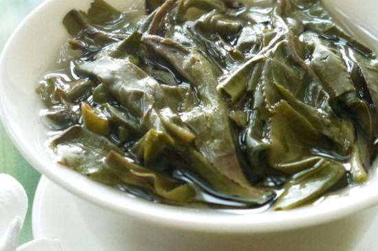 南糯山古树茶的特点