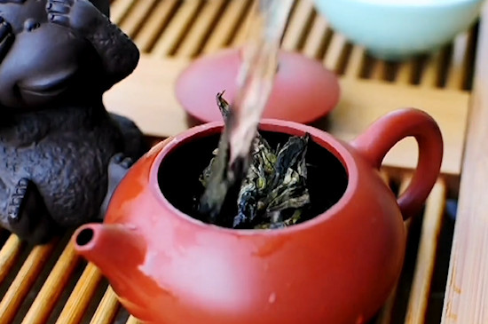 普洱多少度水泡茶好