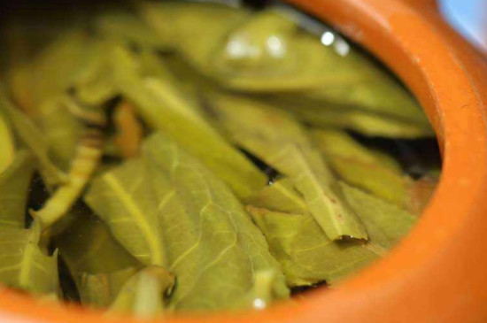 老班章普洱茶的特點