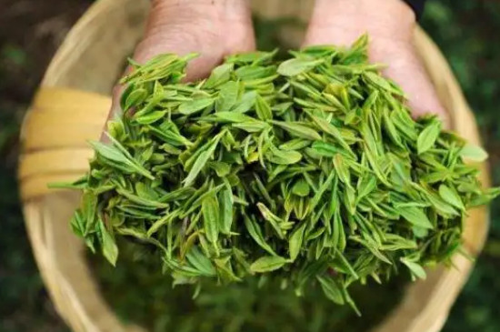 永川秀芽喝了有什么好处