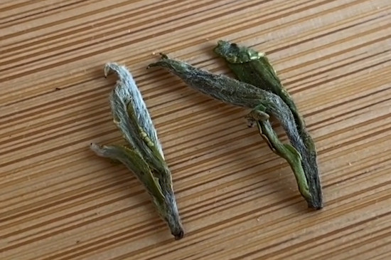 毛峰茶的功效和作用