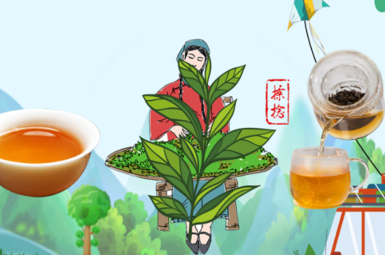 黑茶和茯茶有什么区别