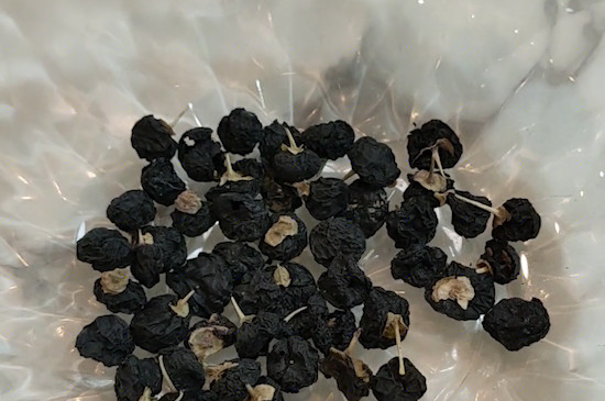 黑枸杞泡茶的温度是多少度最佳