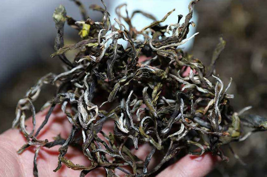 普洱茶生茶熟茶的区别