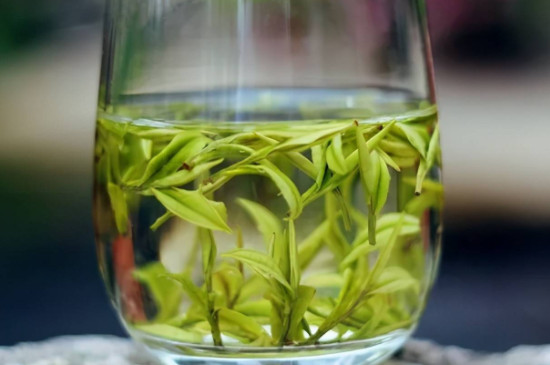 银针茶属于绿茶吗