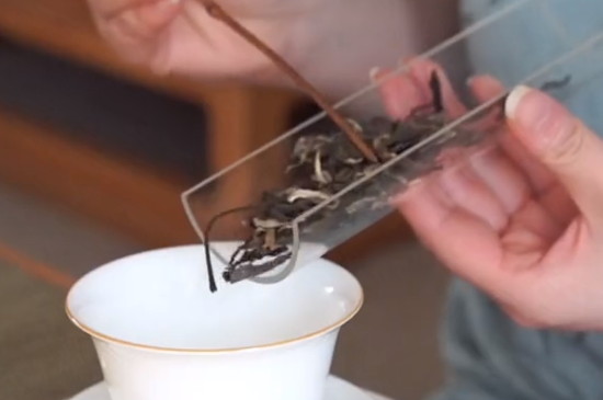 普洱生茶正确冲泡方法