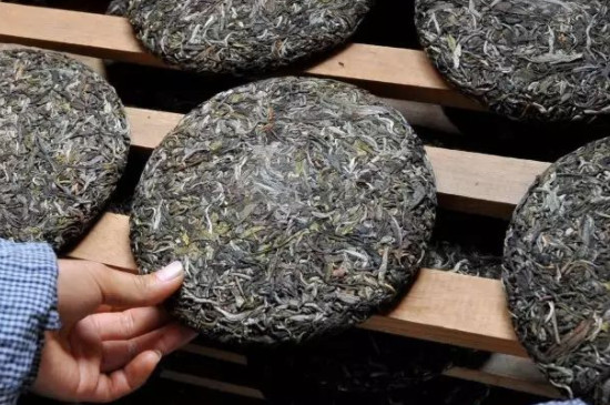 普洱茶屬於什麼茶種