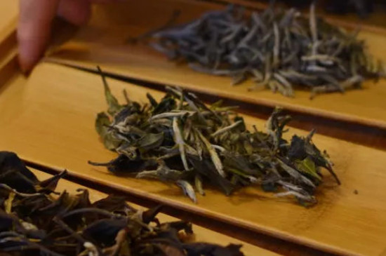 普洱茶屬於寒性還是溫性