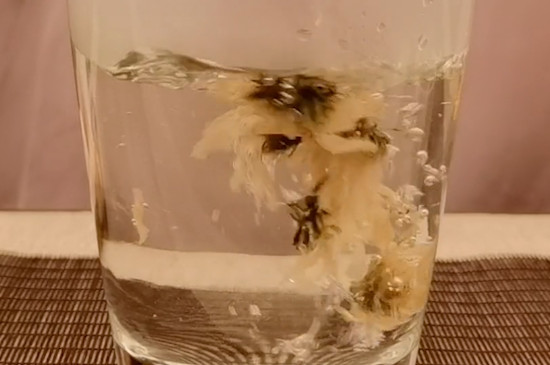 菊花枸杞茶的功效與作用