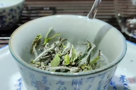 福鼎白茶的特点 福鼎白茶口感特点介绍