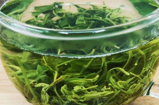 庐山云雾茶属于什么茶 庐山云雾茶叶图片