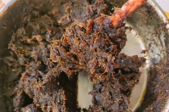 正宗紅糖姜棗膏的做法