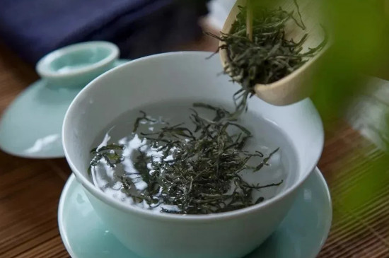 信陽毛尖怎麼泡才好喝