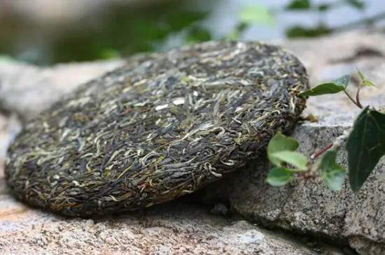 白茶园古树茶口感特点