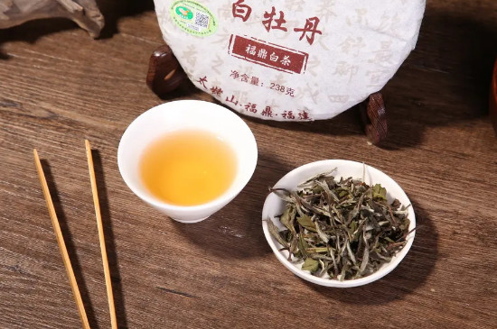 福鼎白茶是什麼檔次