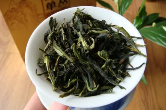 凤凰单丛品种分类